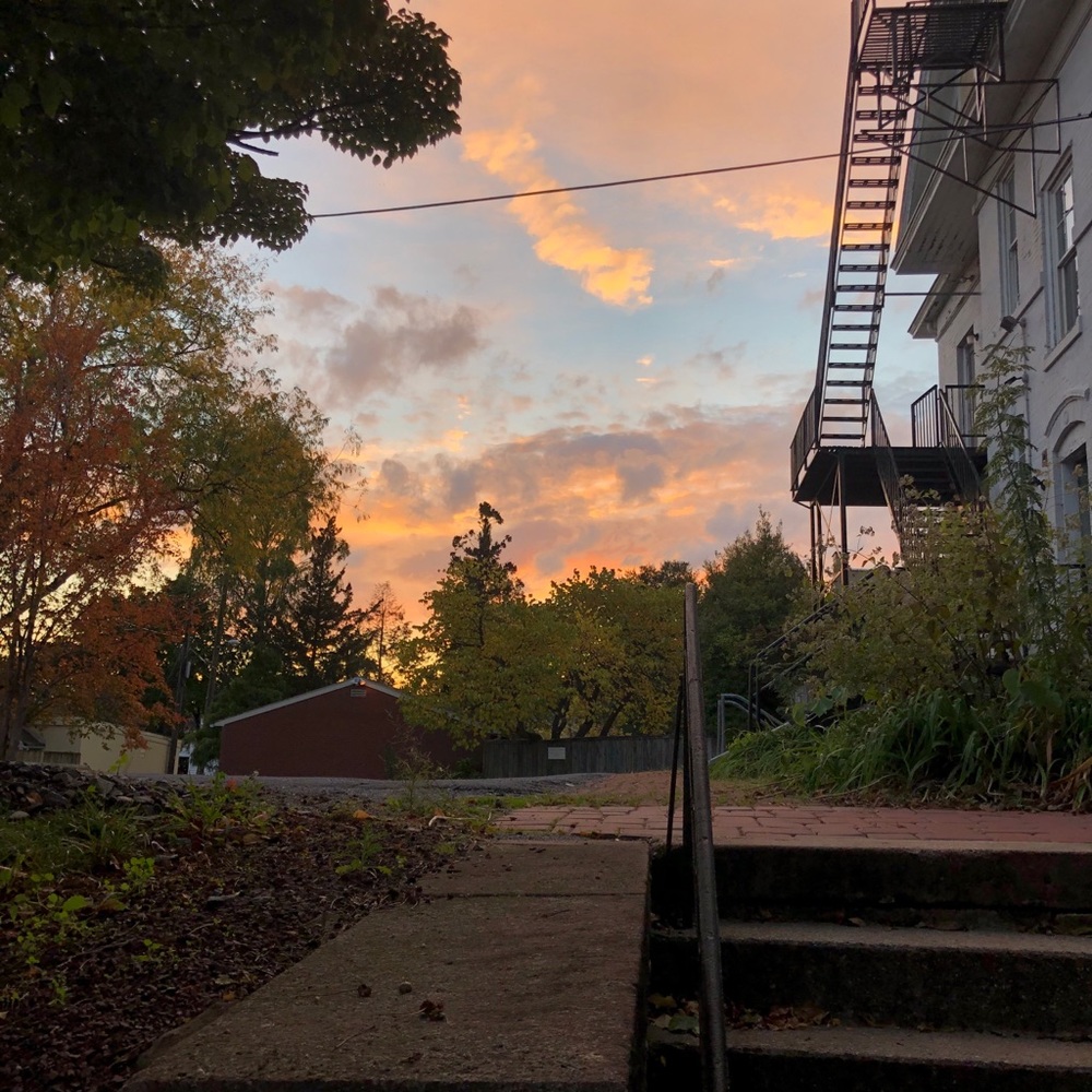 Meet your Posher, Emma